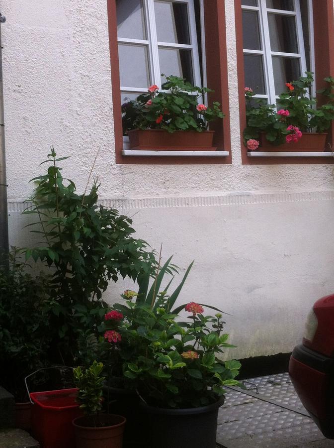 Das Kleine Altstadt Hotel Bernkastel-Kues Exterior foto